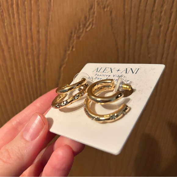 Alex and Ani Star Earrings - Picture 5 of 5